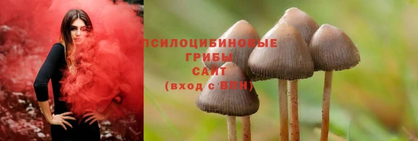 скорость Алзамай