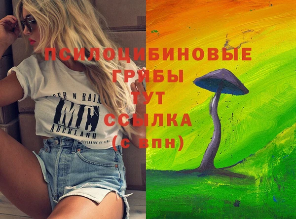 скорость Алзамай