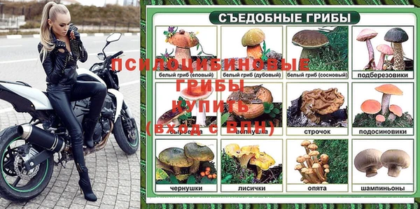 a pvp Алексин
